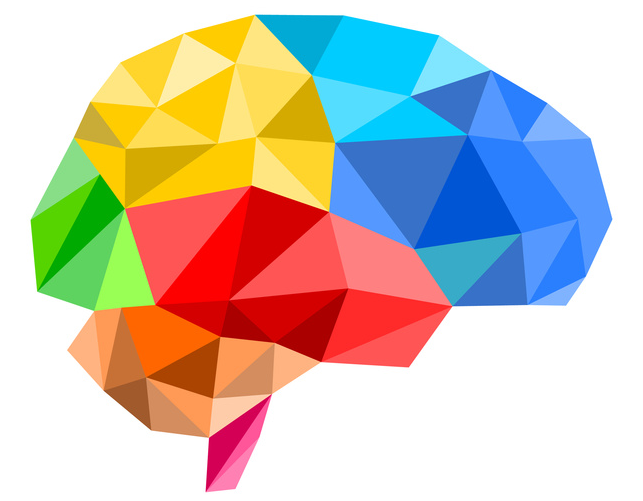Cognitive Brain