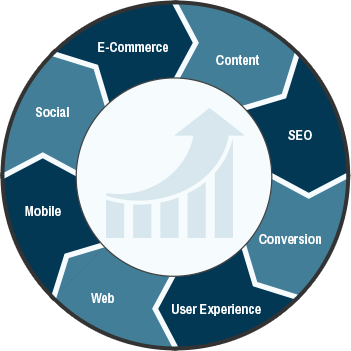 Digital Optimization Wheel
